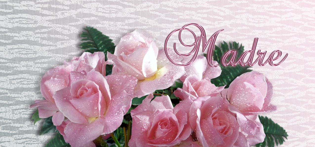 Bouquet Of Roses Orchid Pink Madre(Spanish)